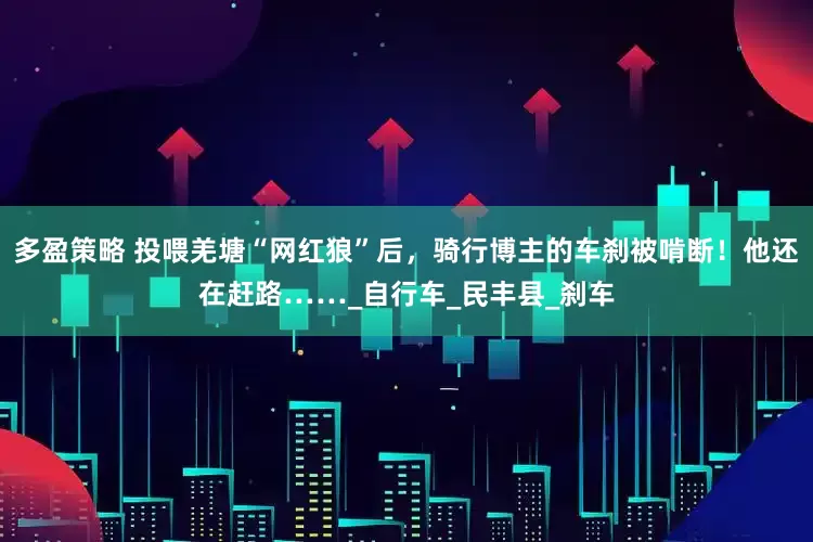 多盈策略 投喂羌塘“网红狼”后，骑行博主的车刹被啃断！他还在赶路……_自行车_民丰县_刹车